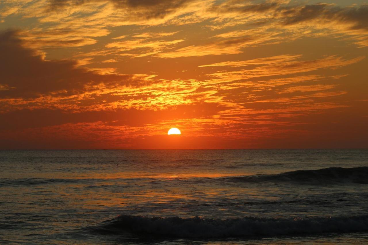 El Gato Rojas Surf Hostel Playa Santa Teresa  Экстерьер фото