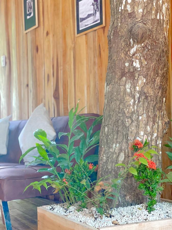 El Gato Rojas Surf Hostel Playa Santa Teresa  Экстерьер фото
