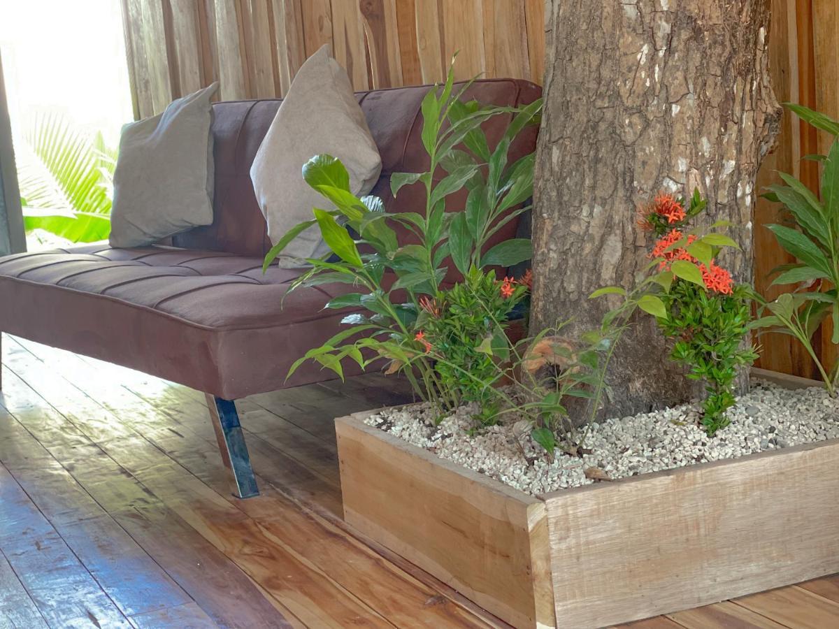 El Gato Rojas Surf Hostel Playa Santa Teresa  Экстерьер фото