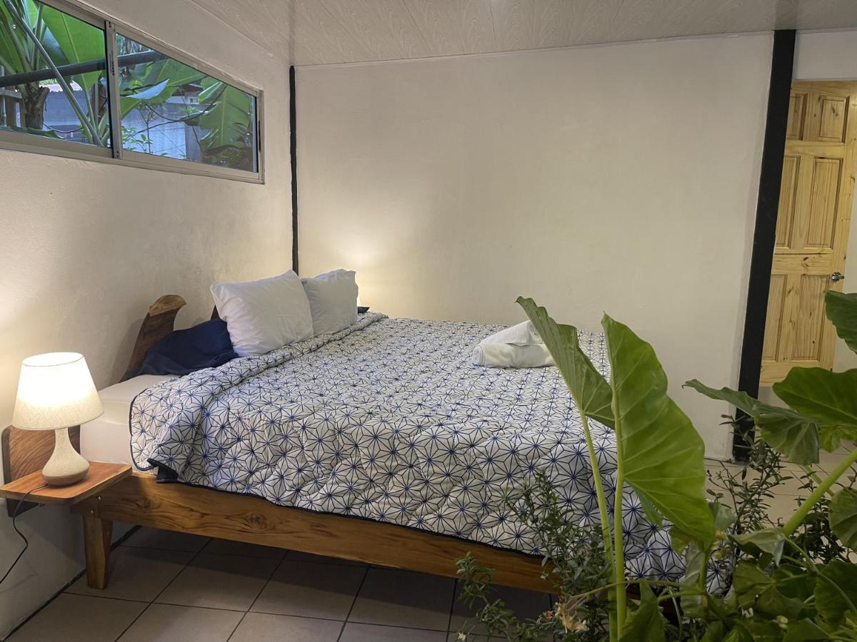 El Gato Rojas Surf Hostel Playa Santa Teresa  Экстерьер фото