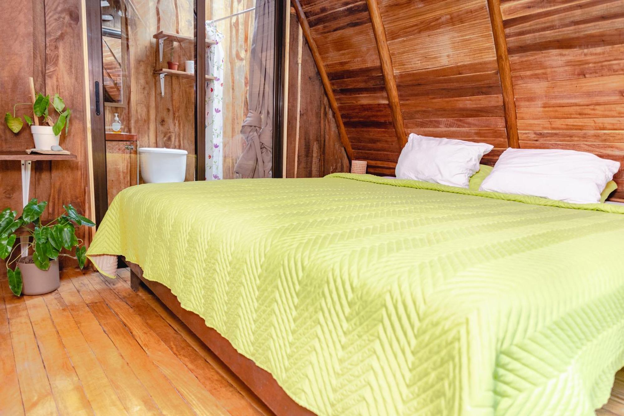 El Gato Rojas Surf Hostel Playa Santa Teresa  Экстерьер фото